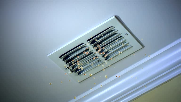 Ductwork Cleaning Services in Richgrove, CA